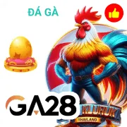 bu88 Game 08